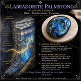 $ 8 Labradorita Palmstone 1 dia de venda