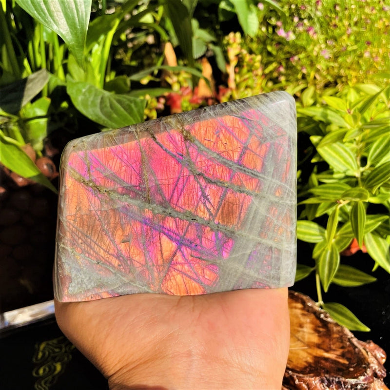Large (1.41 lbs.) Purple Flash Labradorite Freeform (Item #0101)