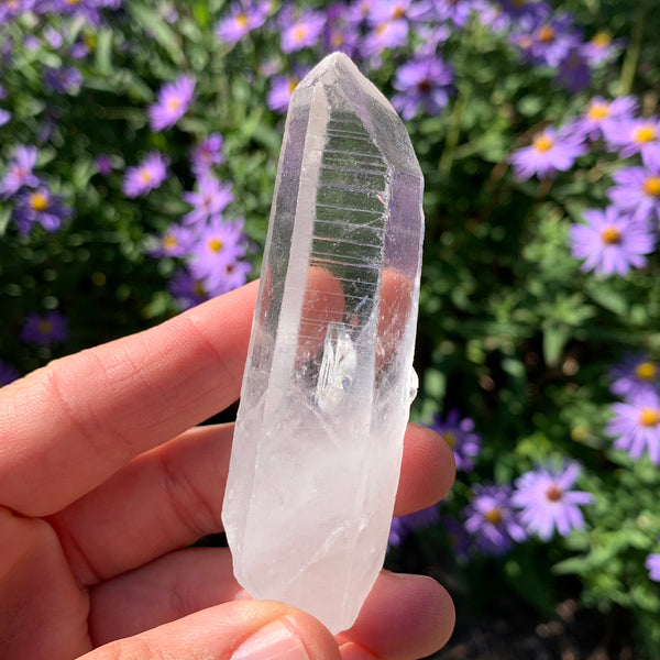 Lemurisch Zaadkristal "Memory Quartz"