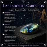 ♎ Weegschaal - 23 september tot 22 oktober - Zodiac Crystal Fusion-set met etui