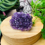 WORKING ON Small Amethyst Cluster - clustergeode