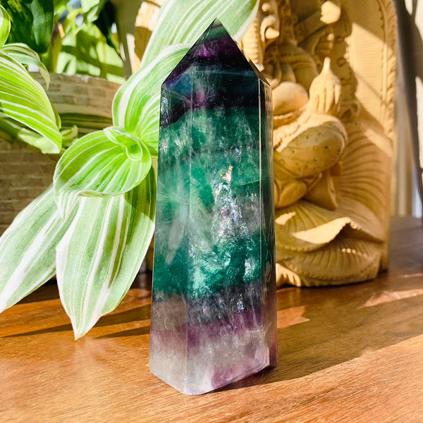 Fluorite - The Most Grounding & Stabilizing Crystal in the World