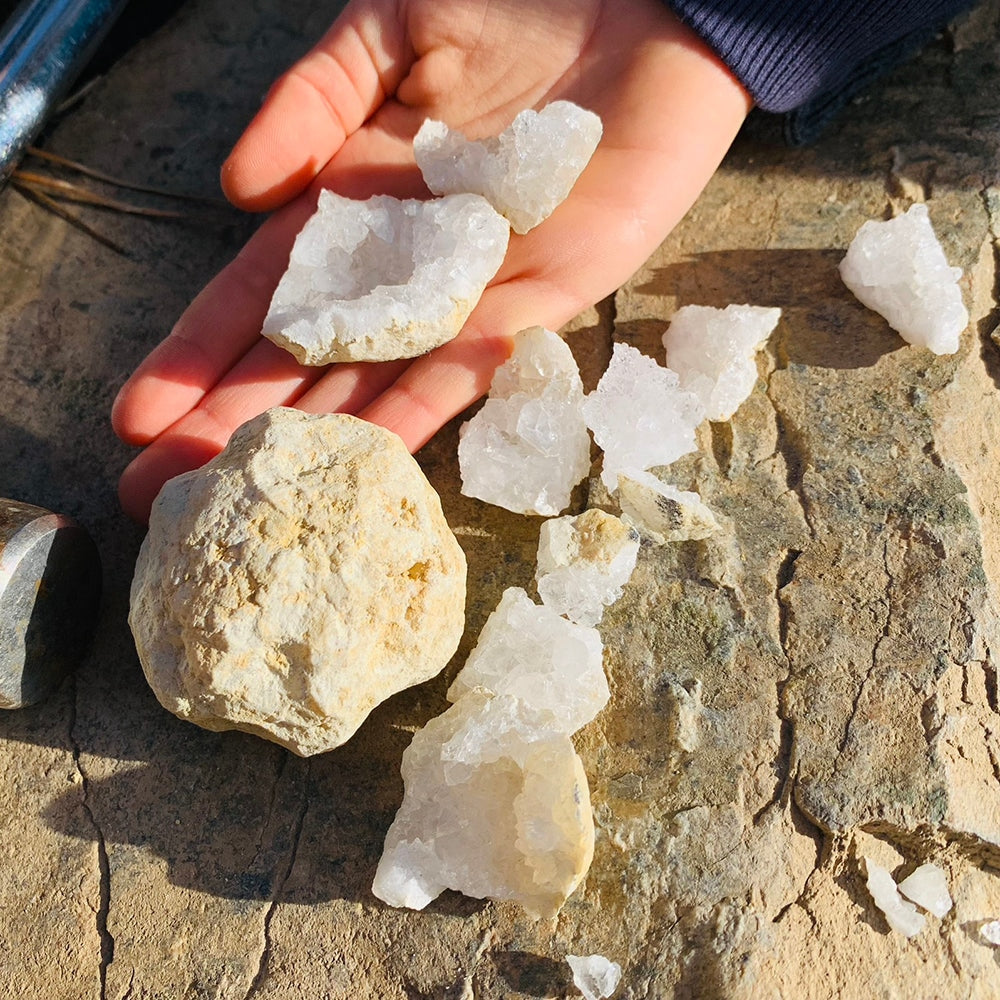 An unopened geode beside the sparkling white quartz pieces of an opened one, with two pieces held in an open hand