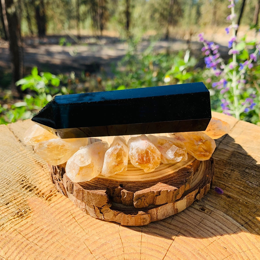 A glossy black obsidian point resting on a row of eight golden citrine shards on a wood slice outdoors