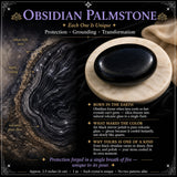 Palmeira Obsidiana