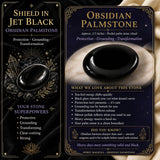 Palmeira Obsidiana