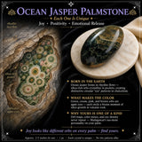 60 % rabatt på Ocean Jasper Palmstone Palmstone 1-dagars