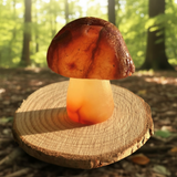 Carnelian Mushroom