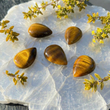 Mini Tiger's Eye Cabochons