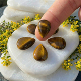 Mini Tiger's Eye Cabochons