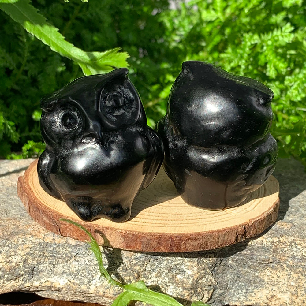 Two glossy black agate owl totems with round eyes and carved feet, side by side on a wooden slice in sunlight