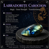 ♓ Ιχθείς - 19 Φεβρουαρίου - 20 Μαρτίου - Zodiac Crystal Fusion Σετ με θήκη