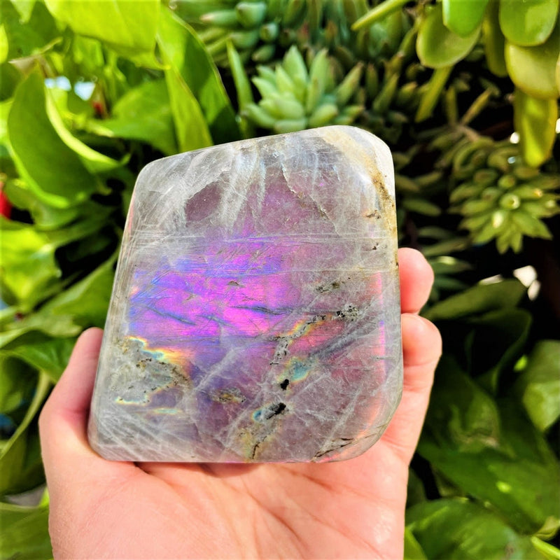 Purple Flash Labradorite Freeform (Item #0007)