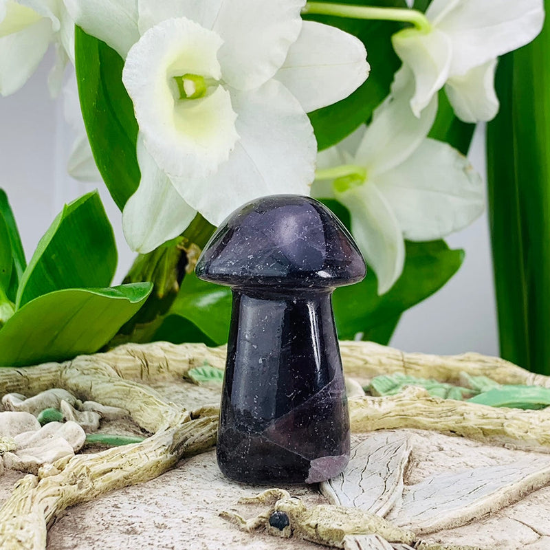 Purple Fluorite Mushroom - mushroom