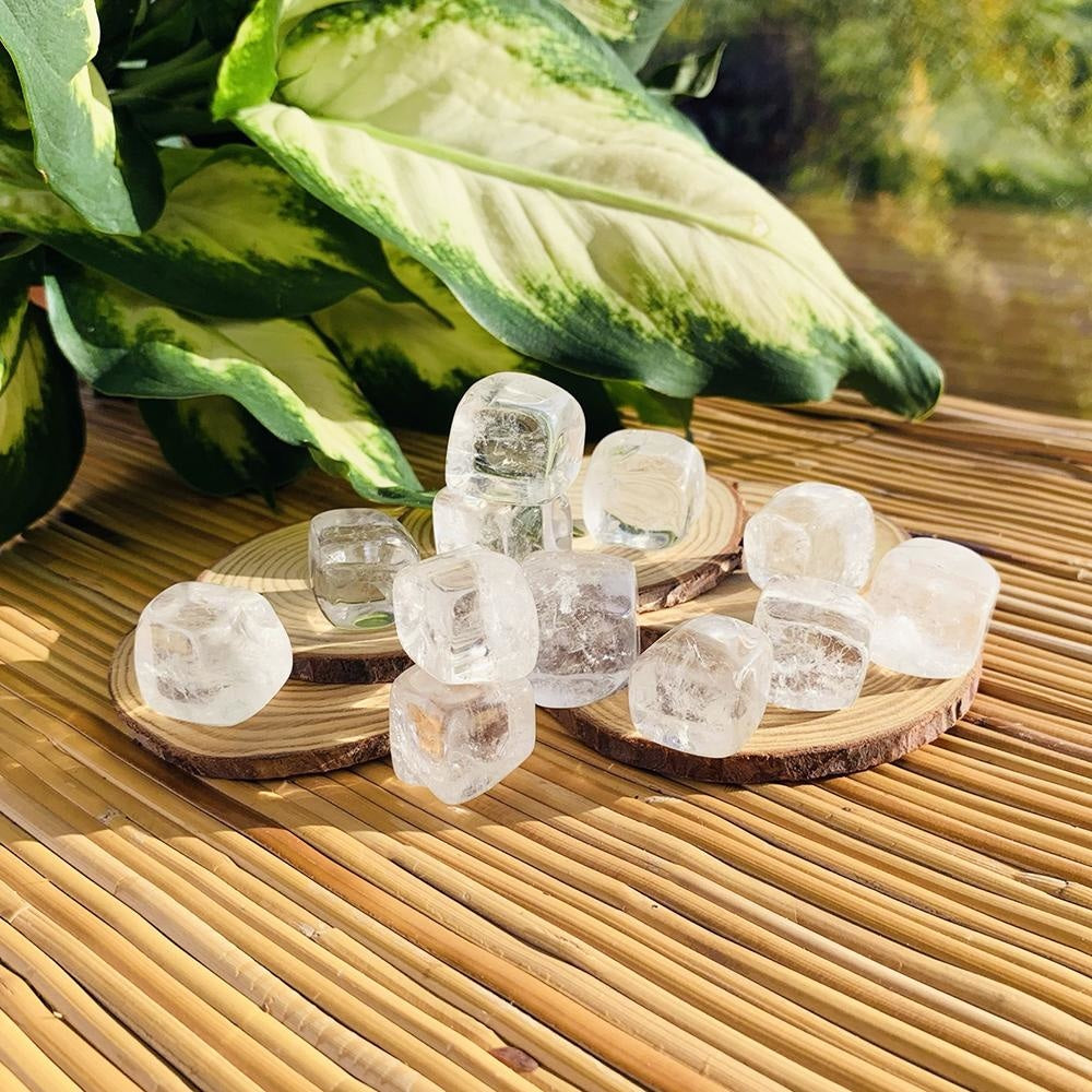 Clear quartz tumbled cubes stacked on wood slices in sunlight beside a leafy plant