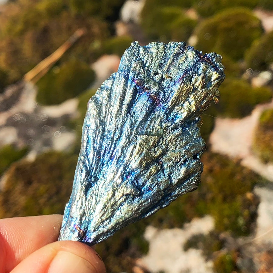 A rainbow kyanite fan in mostly blue and silver tones, held over moss and stone