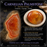 Cornalina Palmstone