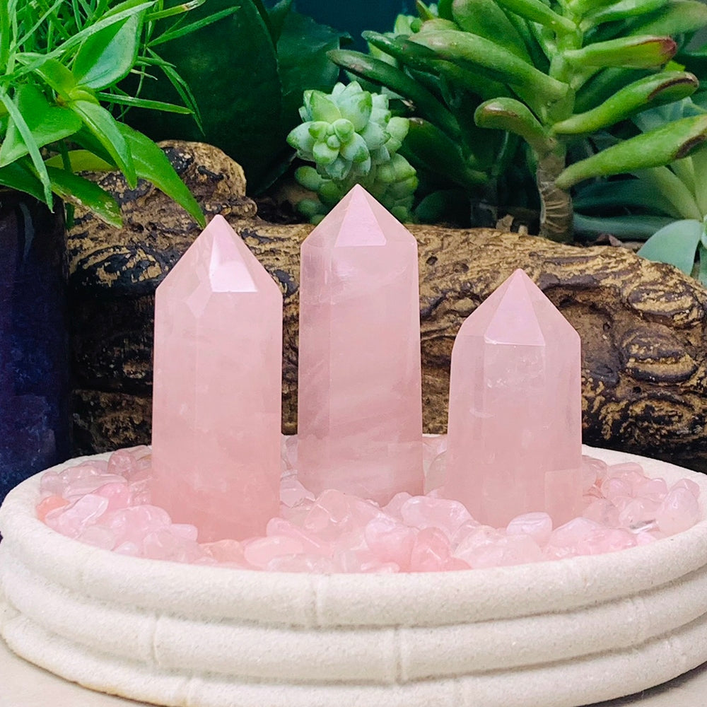 Three polished rose quartz points standing in a dish of tumbled rose quartz among succulents