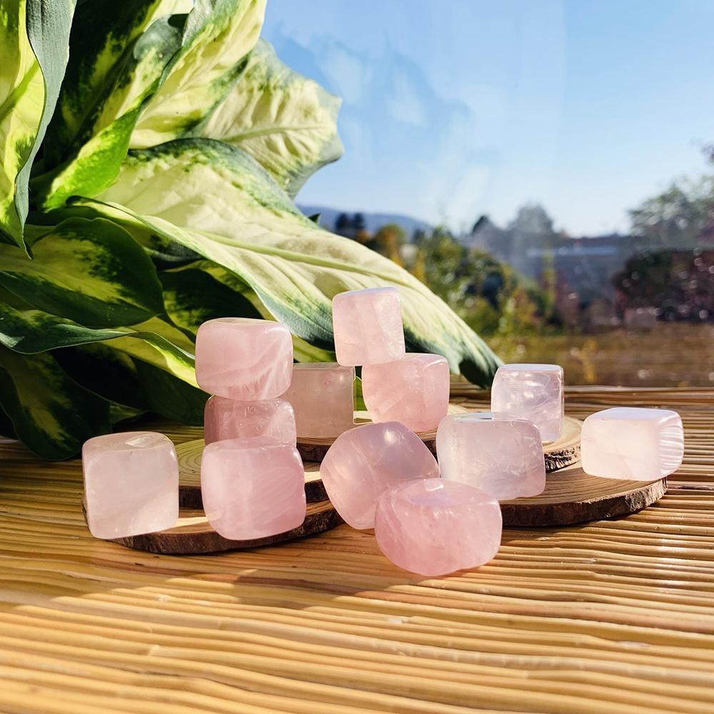 A group of pale pink rose quartz tumbled cubes on wood slices beside a leafy plant in the sun