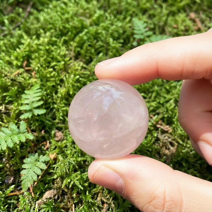 The rose quartz mini sphere held between thumb and finger above green moss