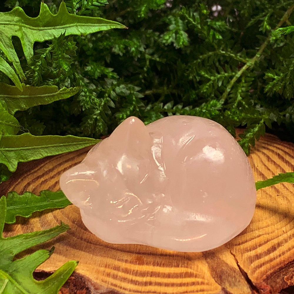 A pale pink rose quartz cat carving curled up asleep on a wood slice among ferns