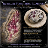 Pierre de palme tourmaline rubellite