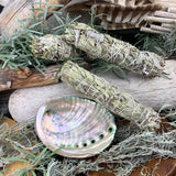6" White Sage Bundle(s) + Abalone Shell Smudge Kit