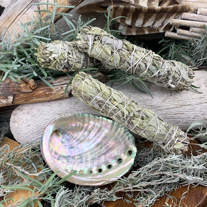Smudge Kit: White Sage (6-tommer) + Abalone Shell