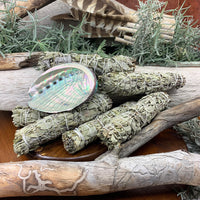 Smudge Kit: White Sage (6-tommer) + Abalone Shell