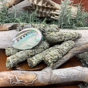 Smudge Kit: White Sage (6-tommer) + Abalone Shell