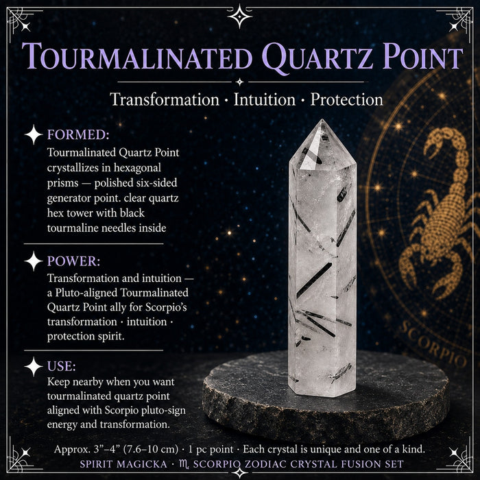 Six-sided tourmalinated quartz point with black tourmaline needles inside clear quartz