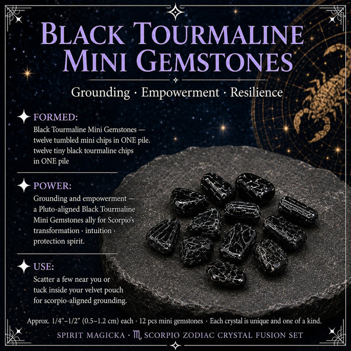 Twelve small tumbled black tourmaline stones in one pile
