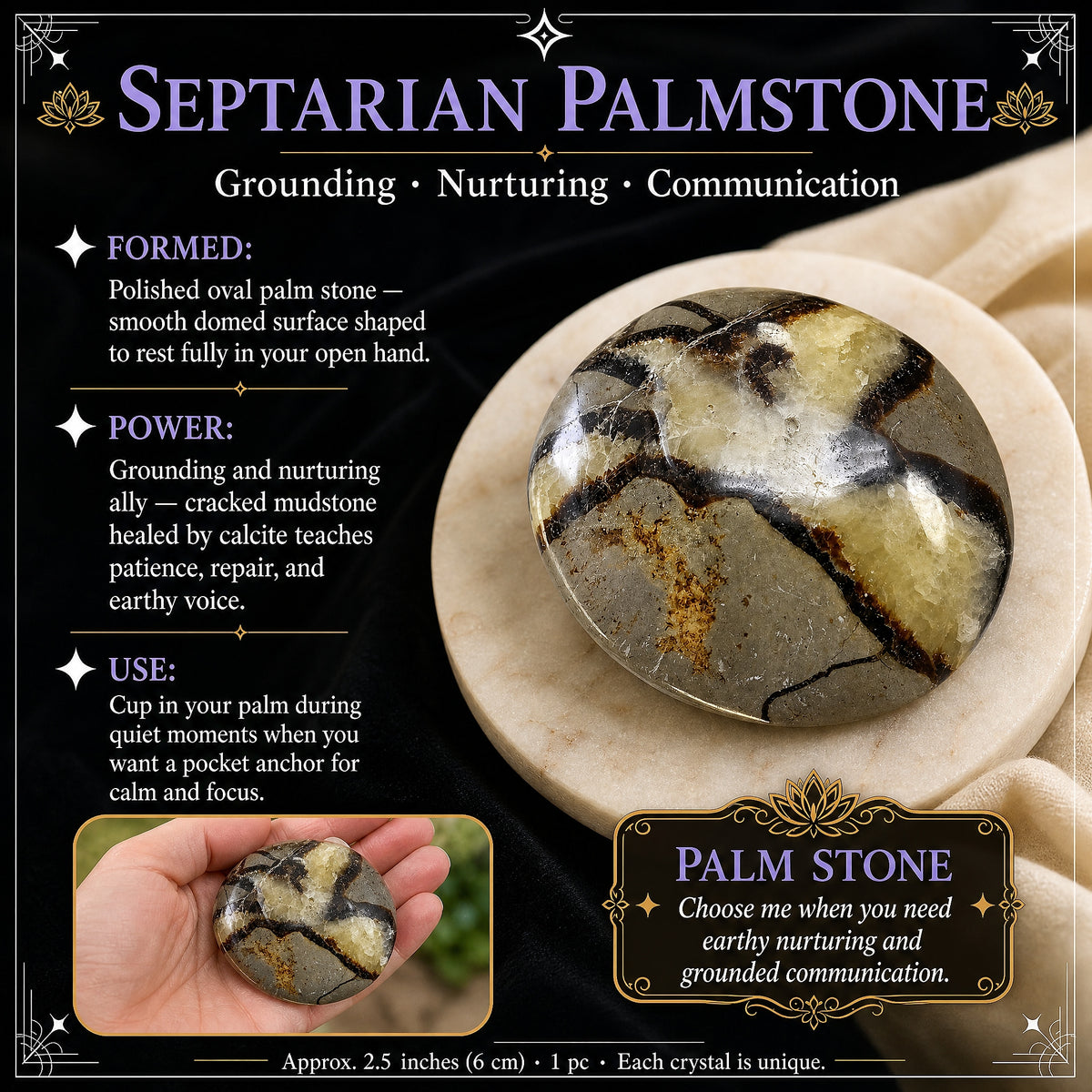 Palmier septarien