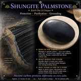 Palmstone Shungita