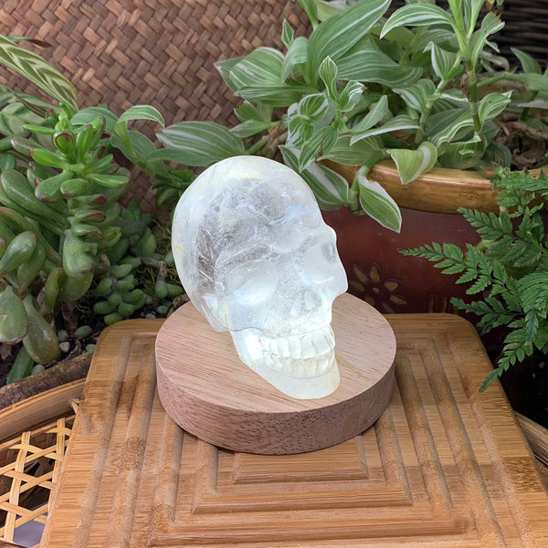 Crystal Mood Light (Quartz Skull Medium)