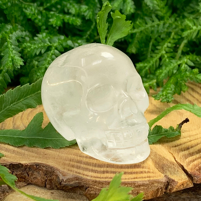 A small carved clear quartz skull on a wooden slice among green leaves