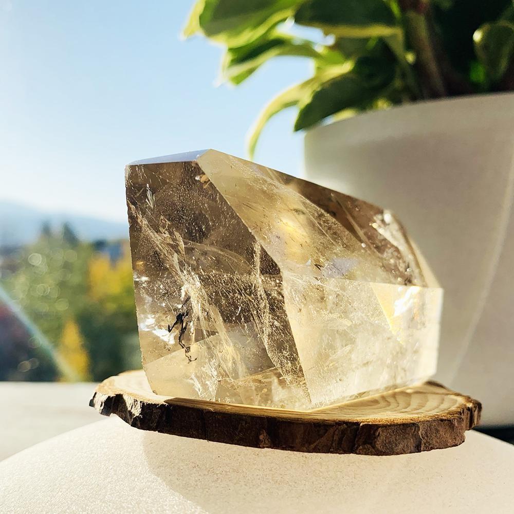 A pale, clear smoky quartz freeform with light tan faces and inner veils, standing on a wood slice in the sun