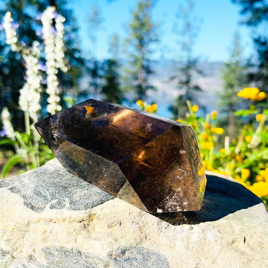 A deep brown polished smoky quartz freeform resting on a rock in sunlight, with wildflowers behind