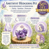 Crystal Ametyst Hedgehog Pet (ADOPT MEG PLEASE) 🥰