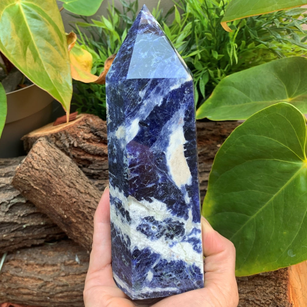 A hand holding the large sodalite generator upright, its royal blue faces streaked with white