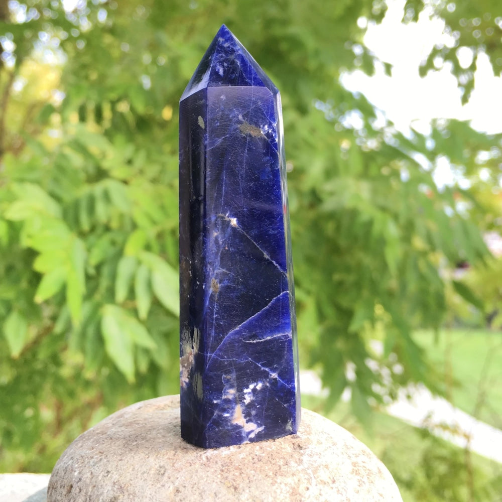 A polished sodalite point in deep royal blue with white veins, standing on a round stone outdoors