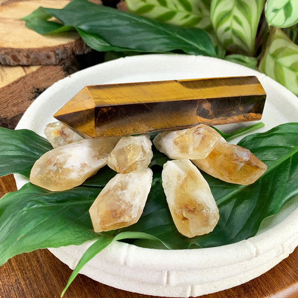 Polished tiger's eye point lying above seven raw citrine shards on green leaves in a white dish