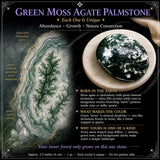 Grøn mossagat palmesten