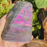 Large Purple Flash Labradorite Freeform (Item #1023)