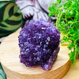$5 Mini Amethyst Cluster - One Day-Only Promo